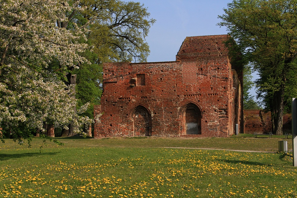 Klosterruine Eldena...