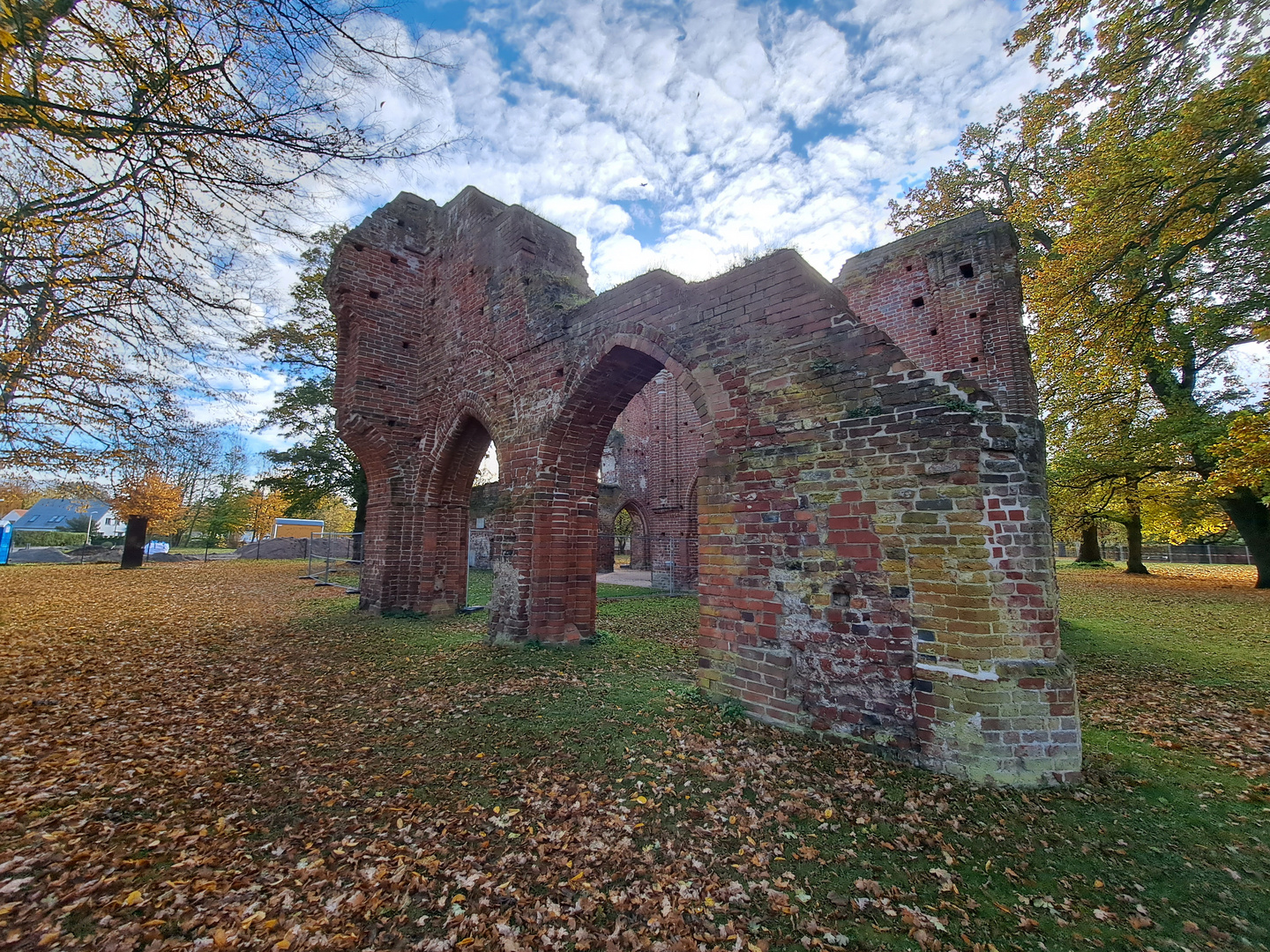 Klosterruine Eldena 