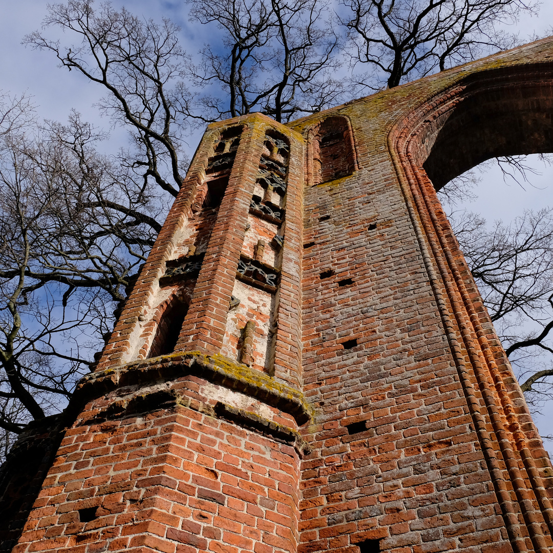 Klosterruine Eldena - Eingangstor-Säule