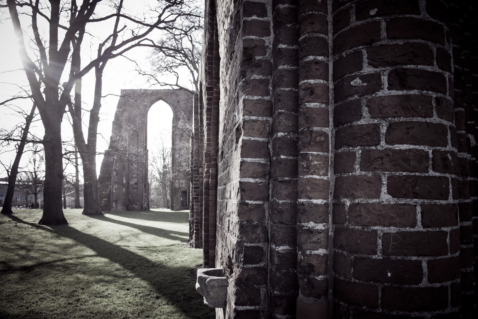 Klosterruine Eldena (Greifswald)