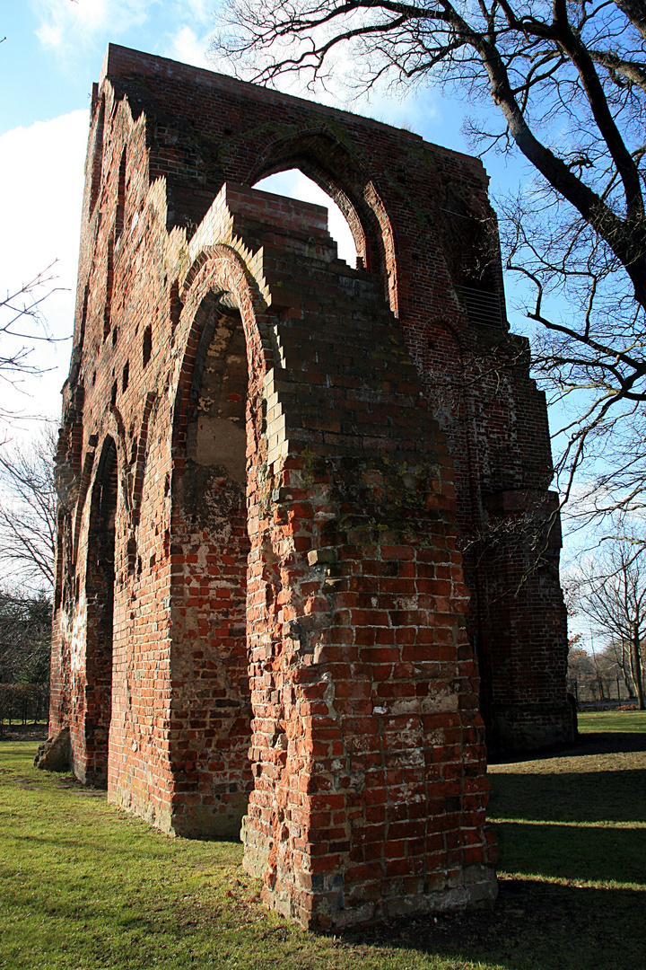 Klosterruine Eldena Greifswald