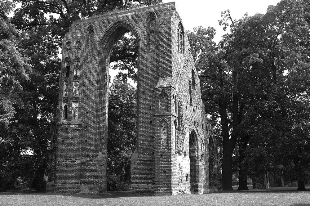 Klosterruine Eldena- Greifswald in sw