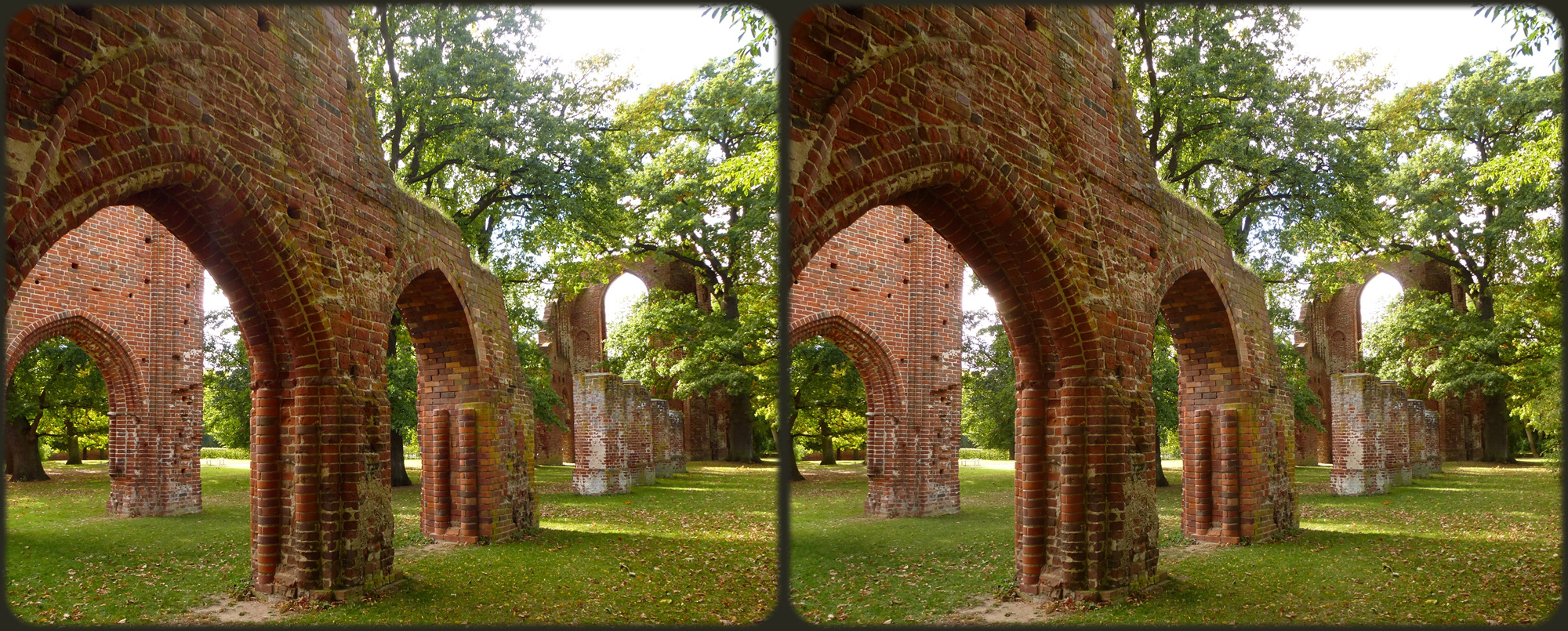 Klosterruine Eldena in Greifswald