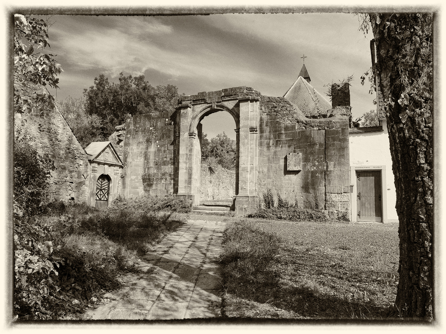 Klosterruine Gräfinthal - Priorat III