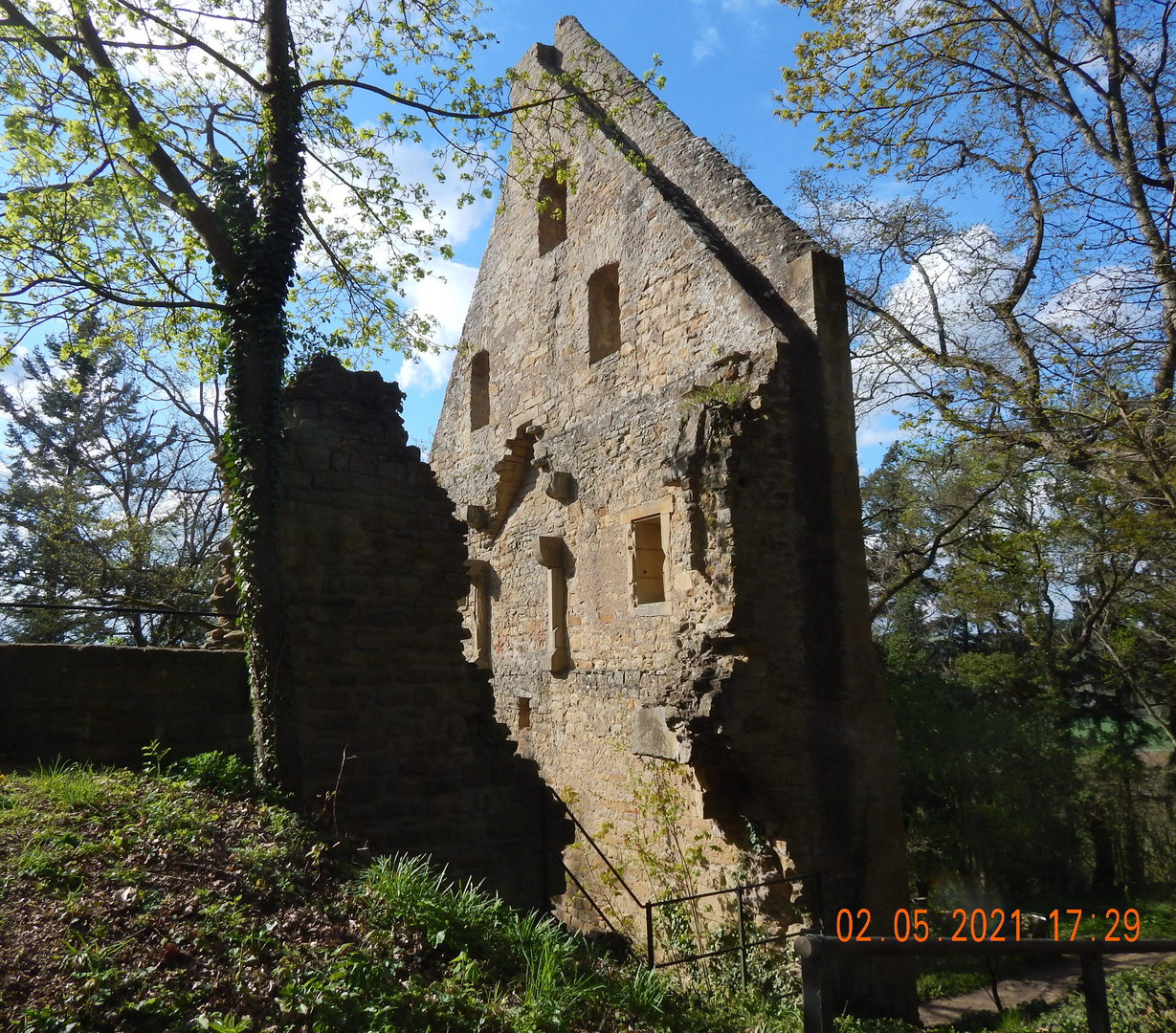 Klosterruine-Hildegard von Bingen