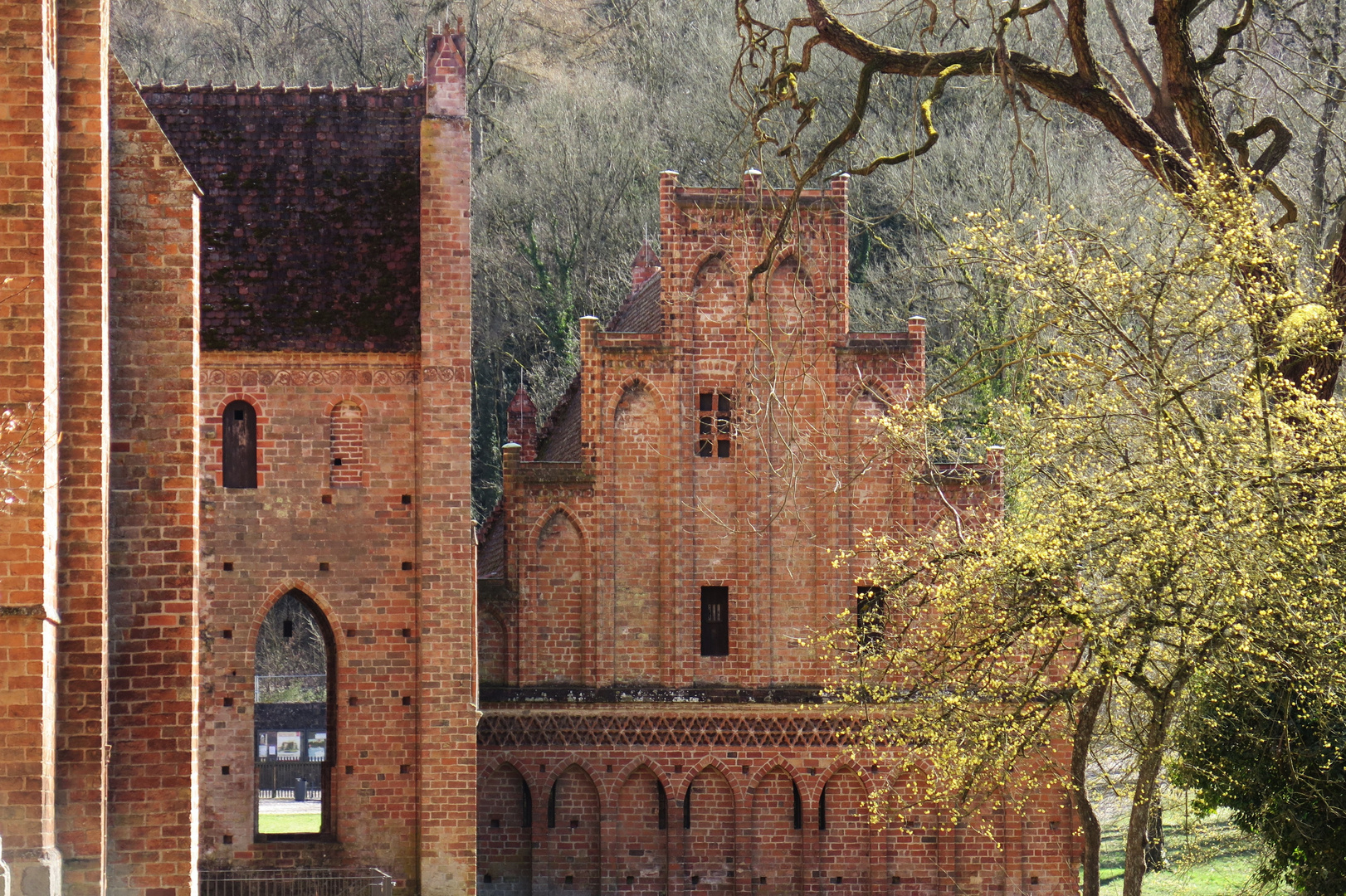 Klosterruine im Frühling