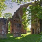 Klosterruine im Mai