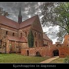 Klosterruine in Arendsee