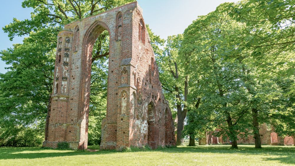 Klosterruine in Greifswald Eldena