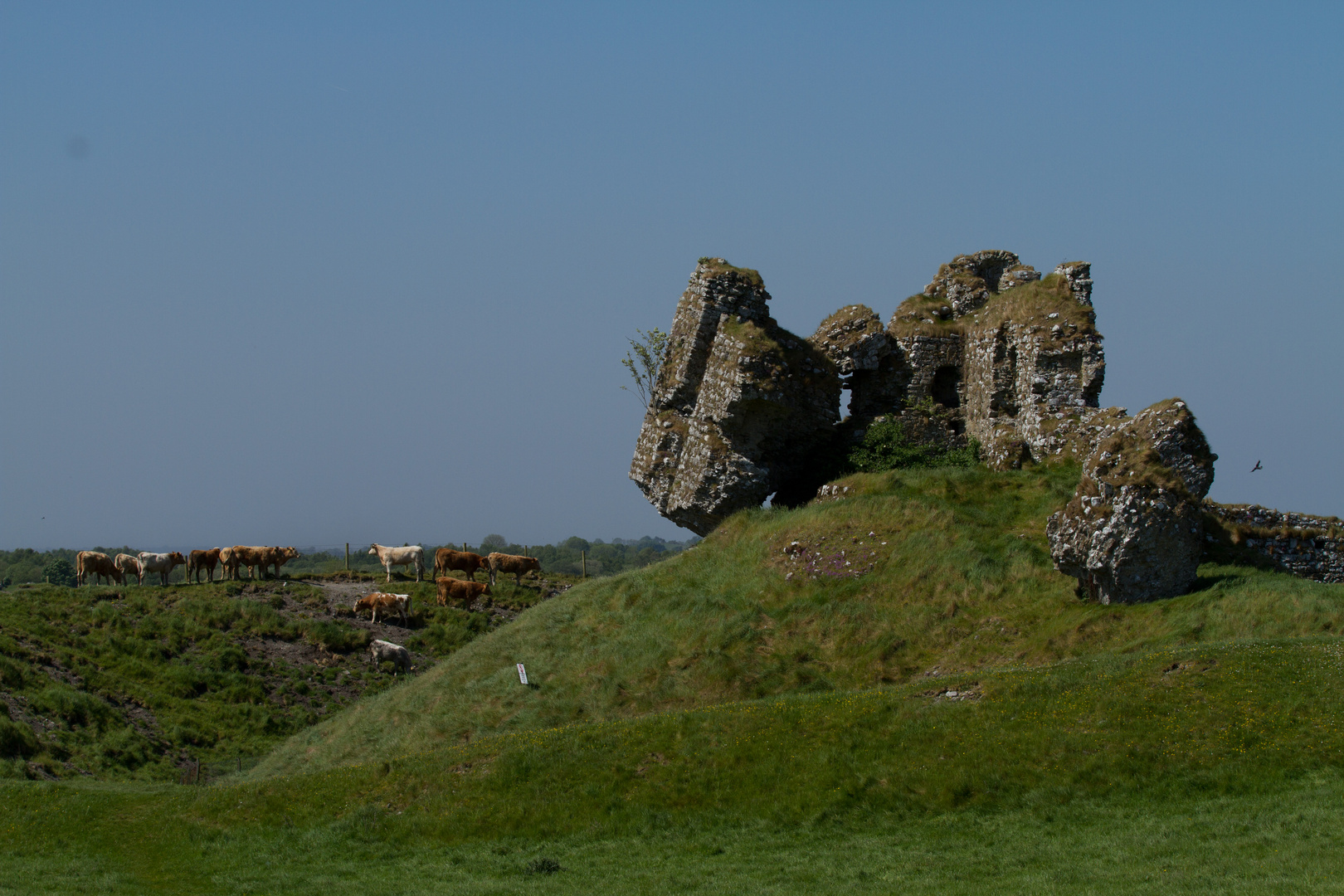 Klosterruine in Irland