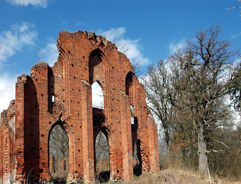 Klosterruine in MeckPomm