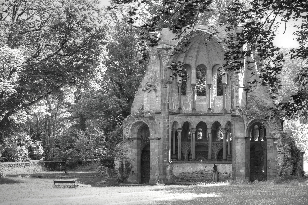 Klosterruine Kloster Heisterbach 