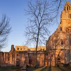 Klosterruine Limburg im Abendlicht