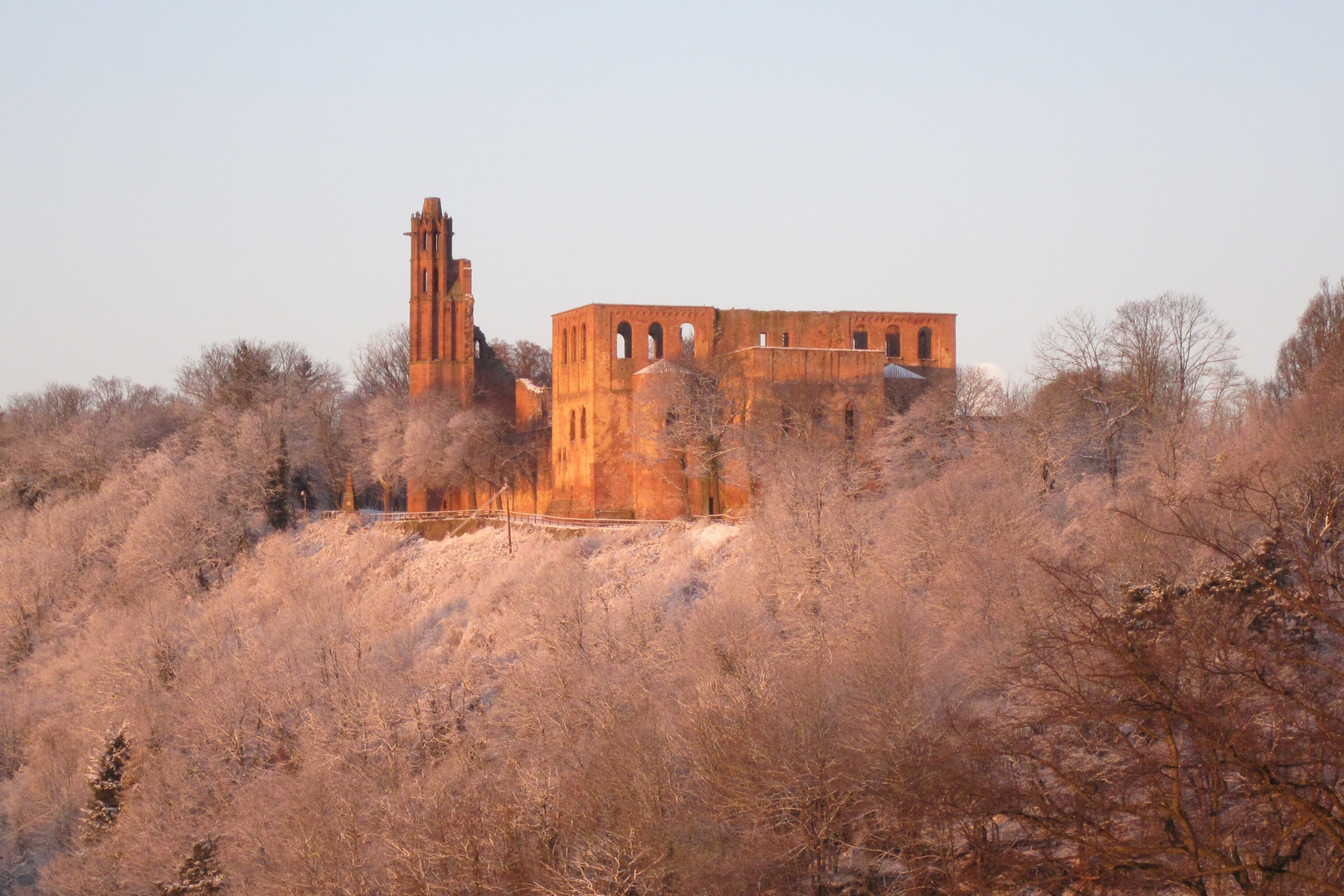 Klosterruine Limburg - Wintersonne