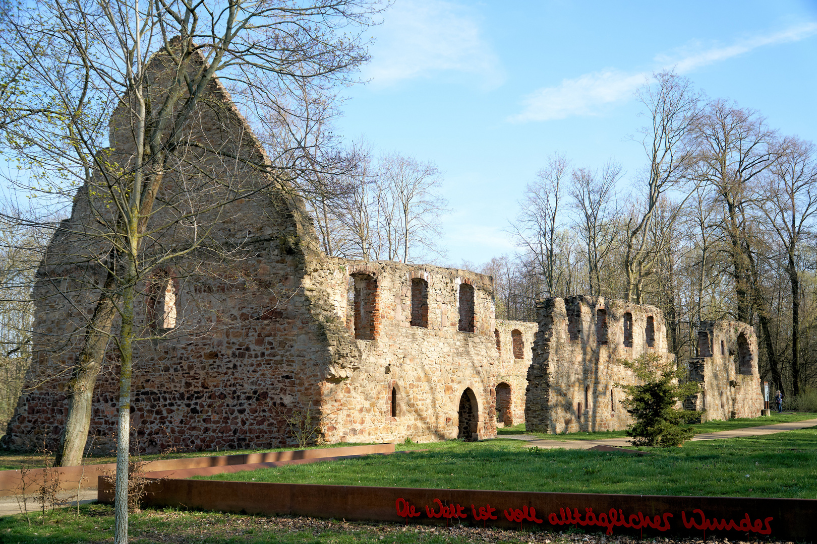Klosterruine Nimbschen 1