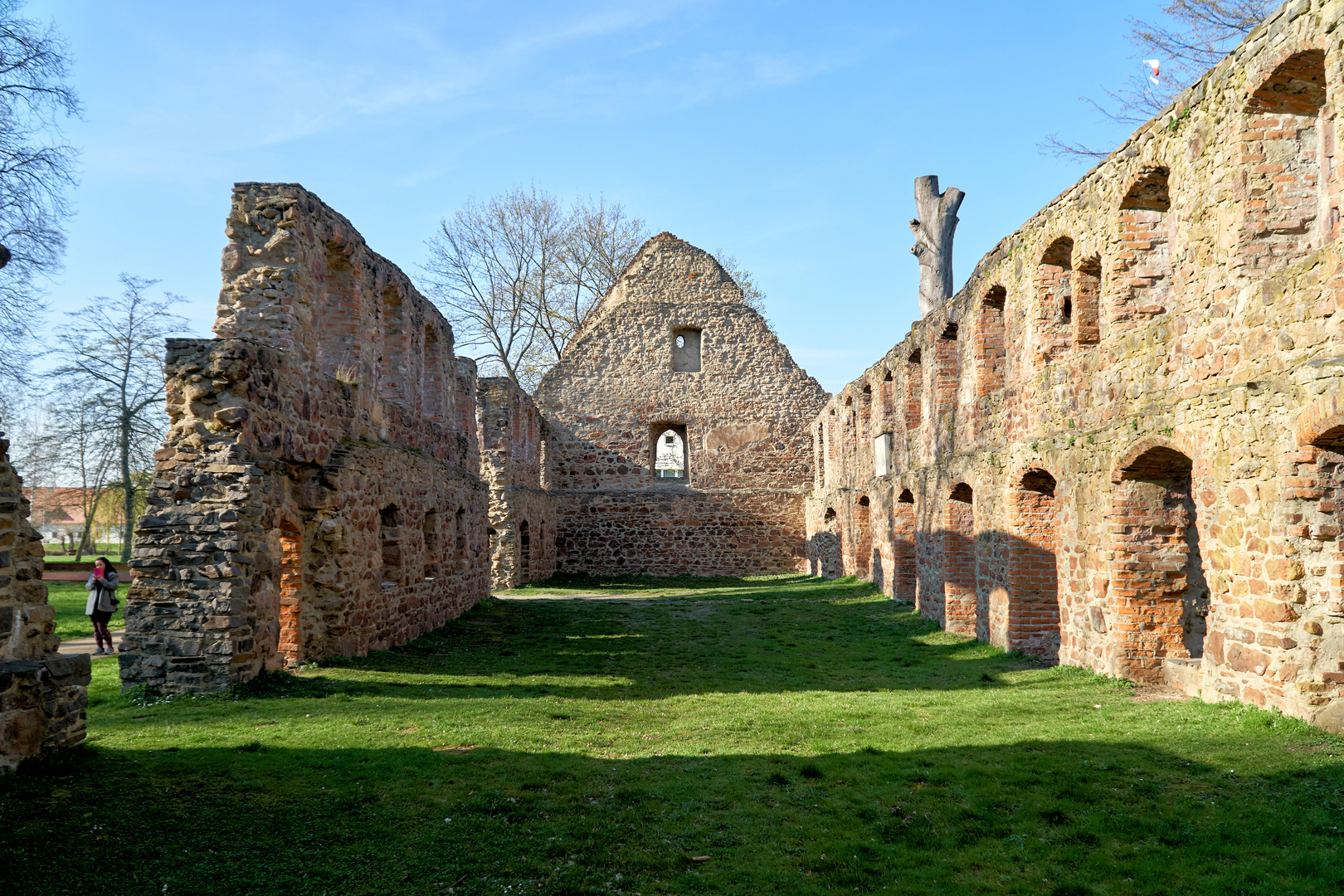 Klosterruine Nimbschen 2