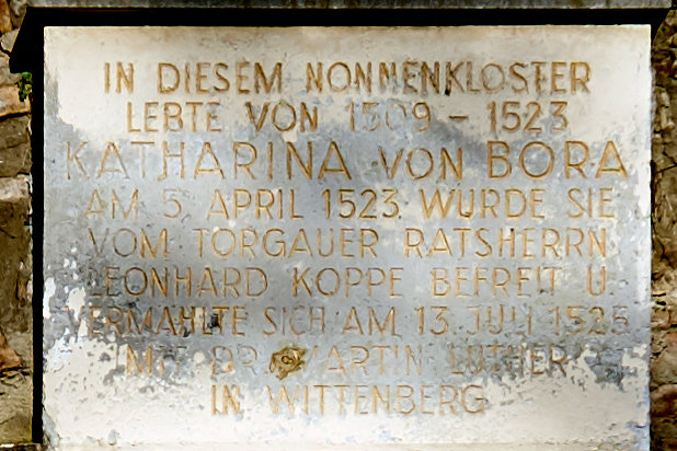 Klosterruine Nimbschen 3