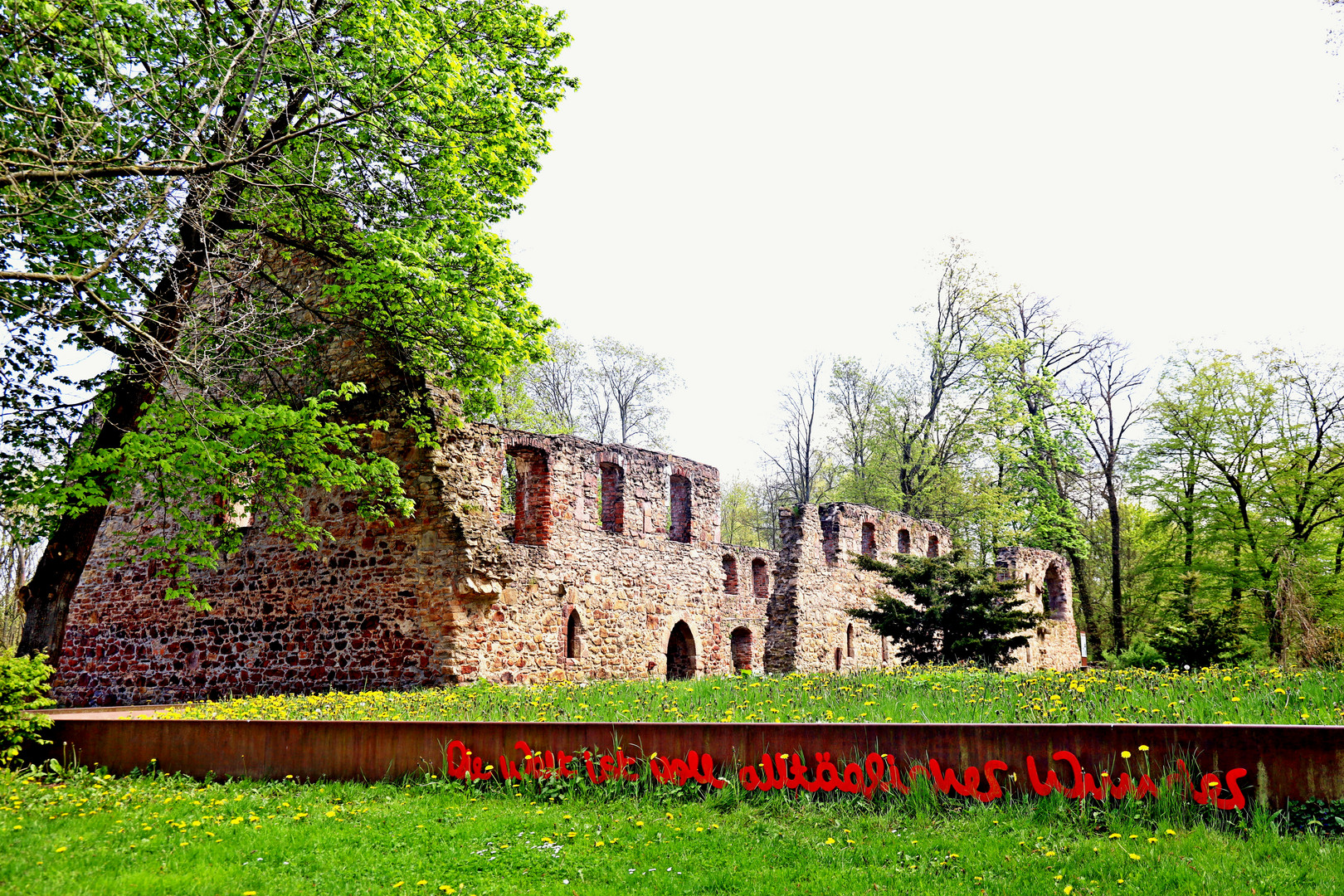 Klosterruine Nimbschen bei Grimma