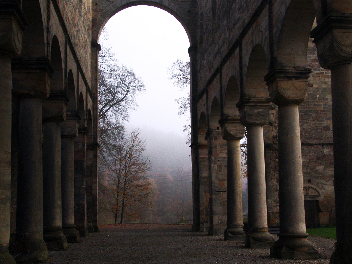 Klosterruine Paulinzella im morgendlichen Nebel