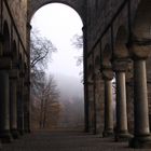 Klosterruine Paulinzella im morgendlichen Nebel