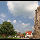 Klosterruine Walkenried  im Harz