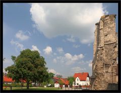 Klosterruine Walkenried  im Harz