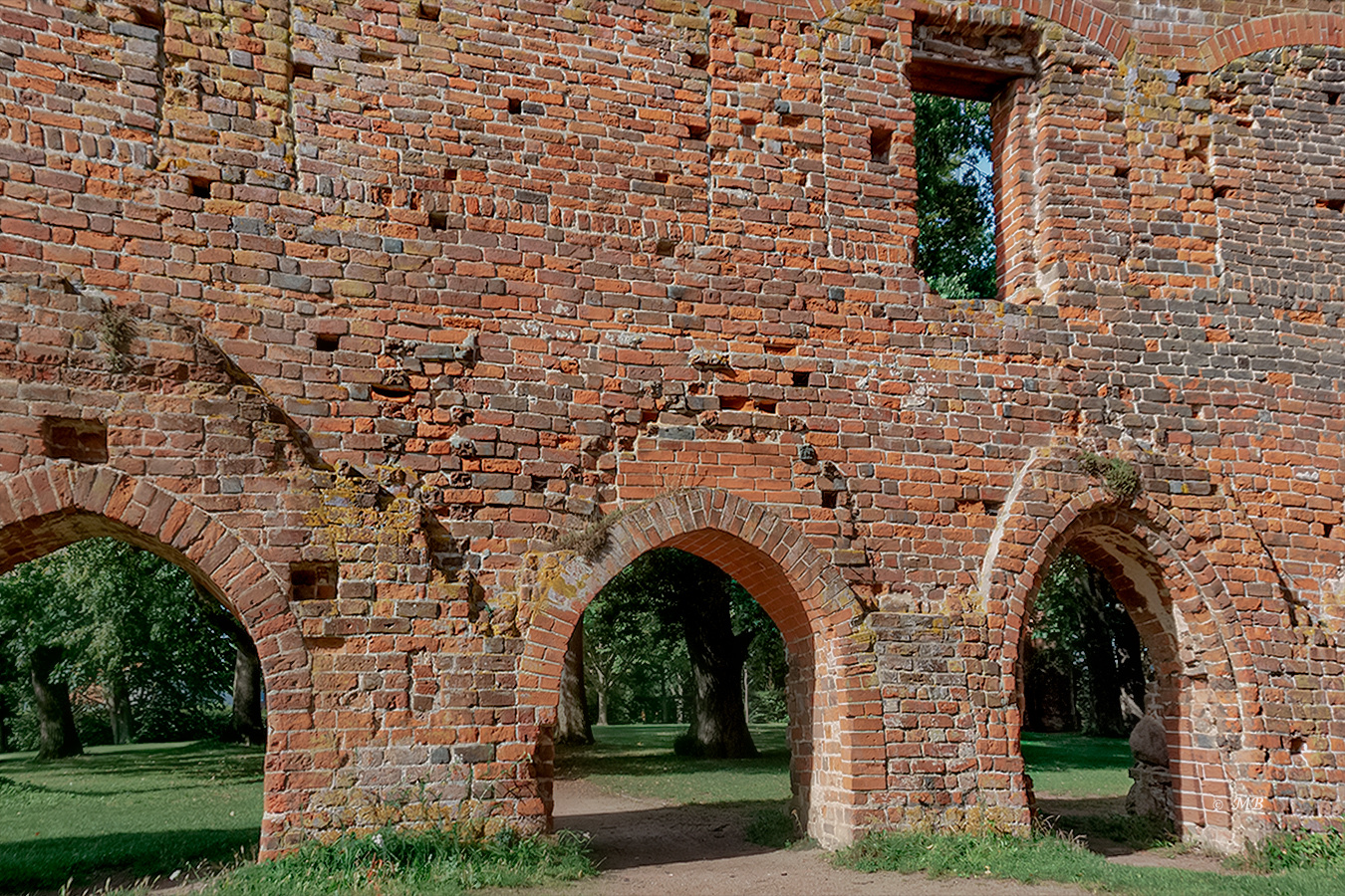 Klosterruinen Durchblick