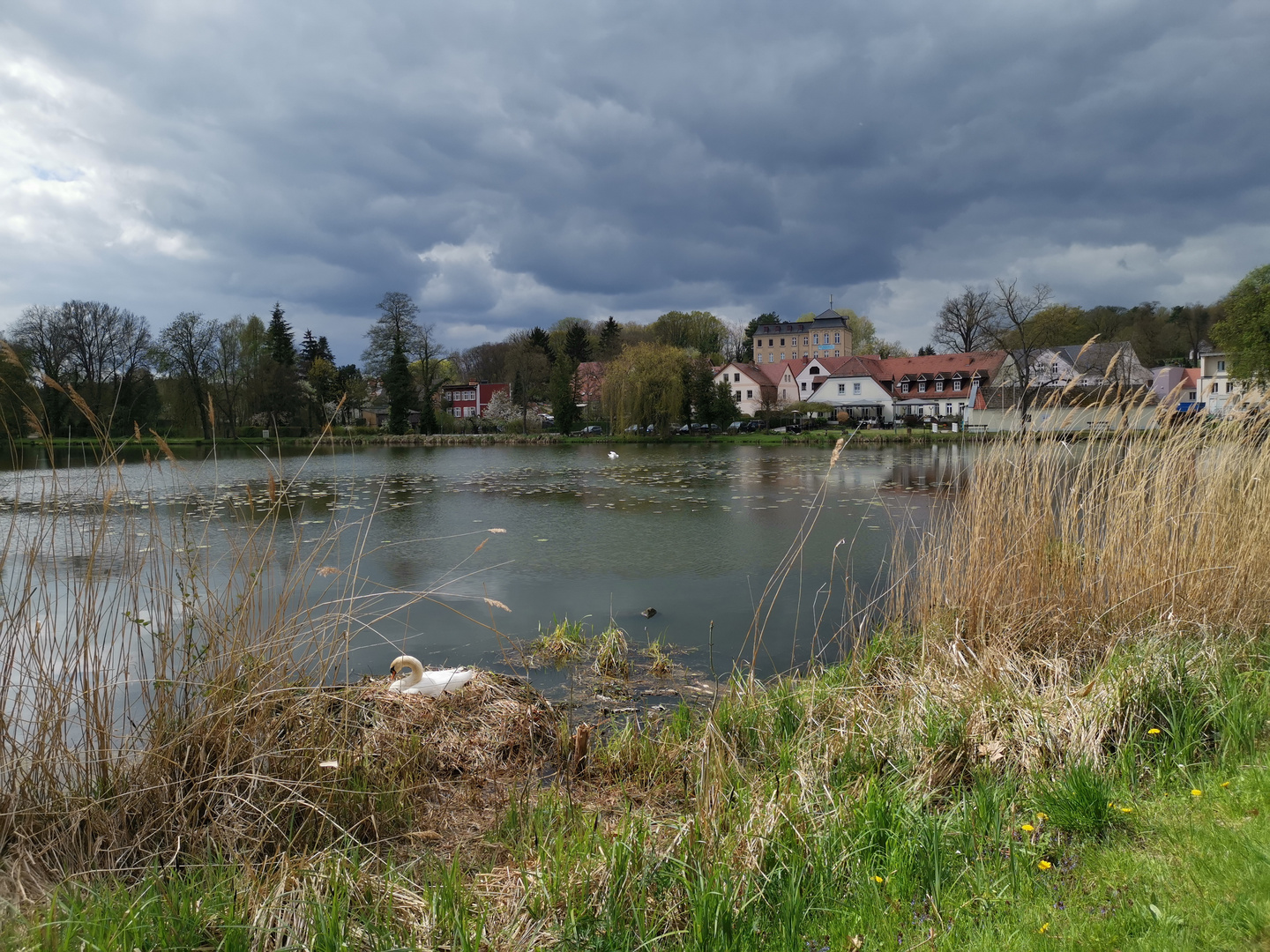 Klosterteich Neuzelle...... 