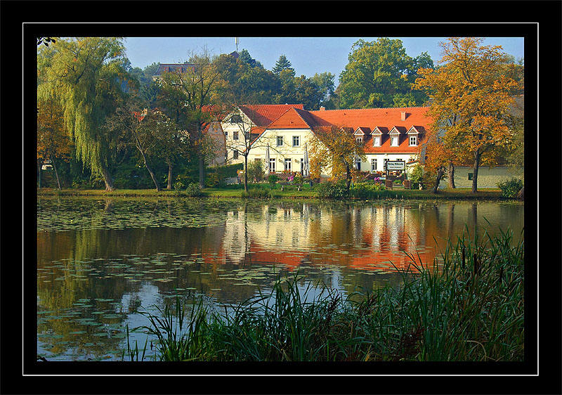 Klosterteich Neuzelle ( Part II )