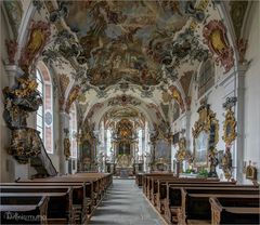 Klosterwald - Wald " Gott zu Gefallen... "