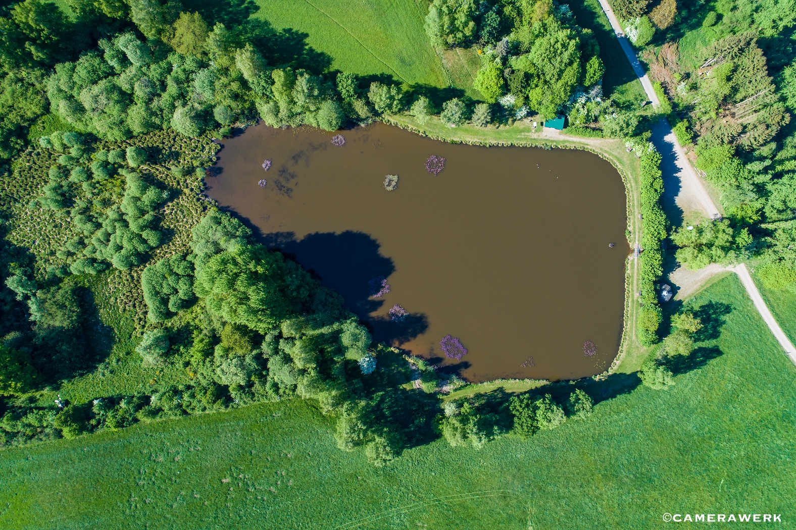 Klosterweiher