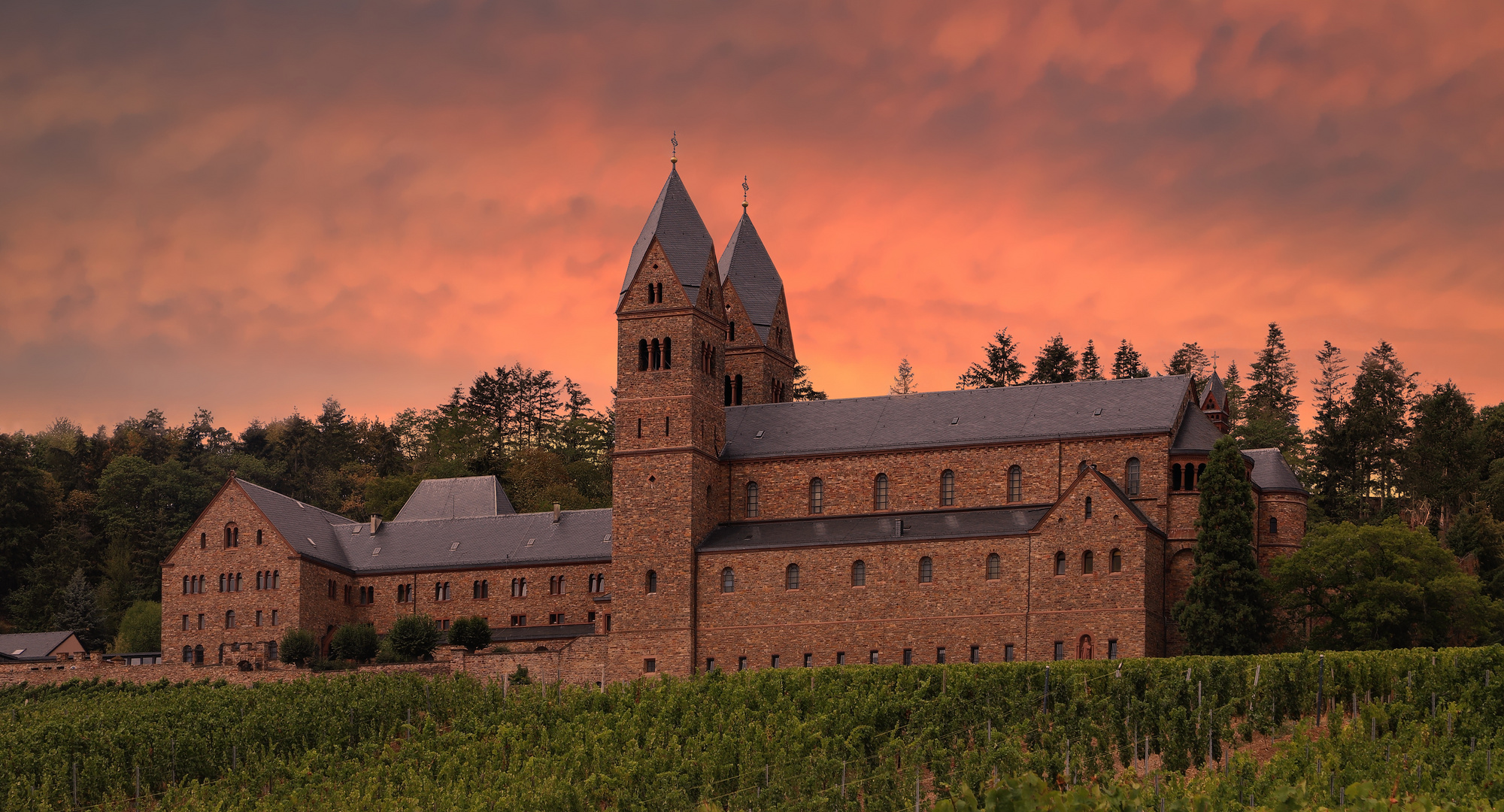 Klosterweingut St.Hildegard