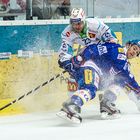 Kloten Flyers - Rapperswil-Jonas Lakers