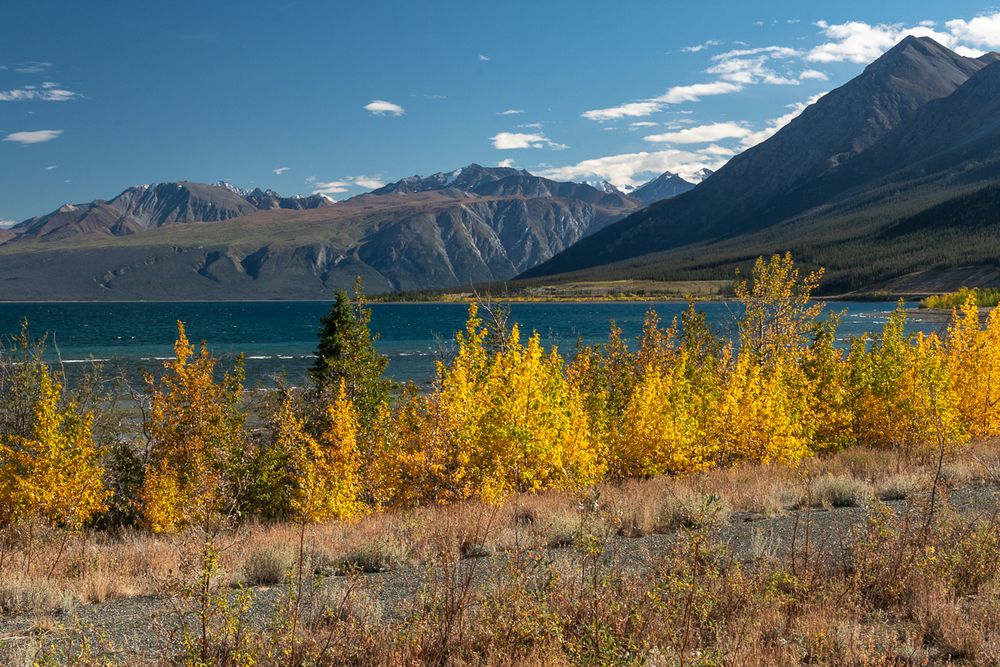 Kluane Lake