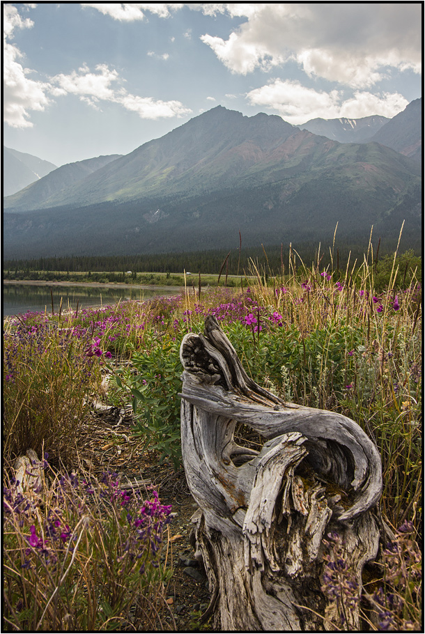 Kluane National Park