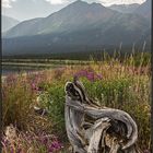 Kluane National Park