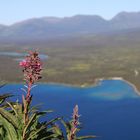 Kluane National Park - Blick vom King's Throne