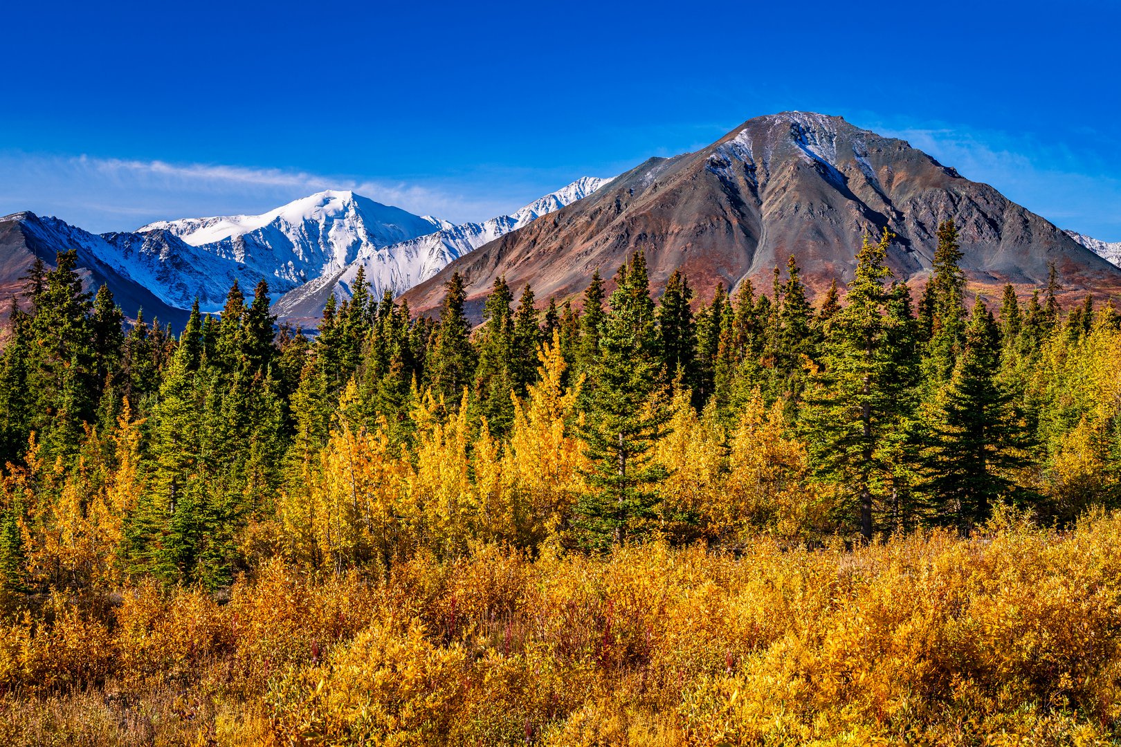 Kluane National Park