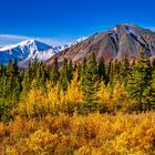 Kluane National Park