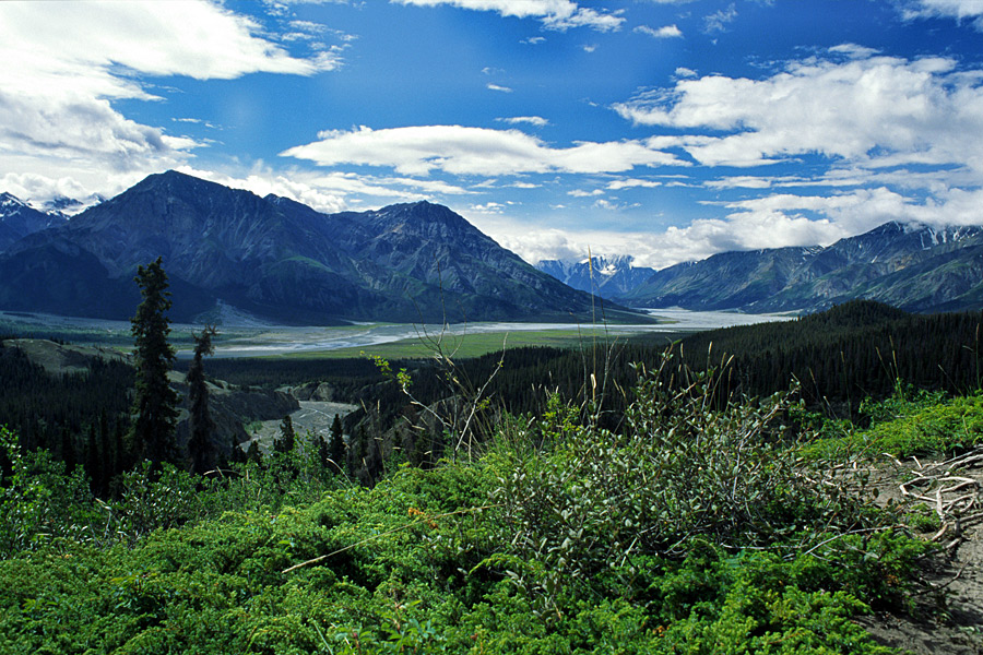 Kluane National Park (Yukon Kanada)