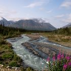 Kluane Nationalpark Yukon