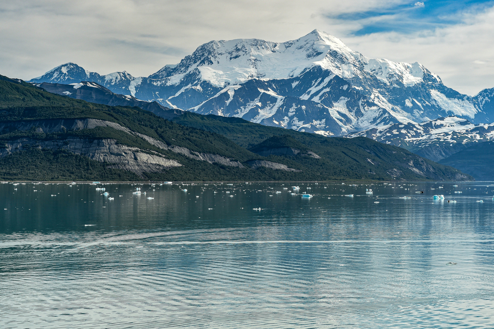 Kluane NP, Icy Bay.                                      DSC_5710