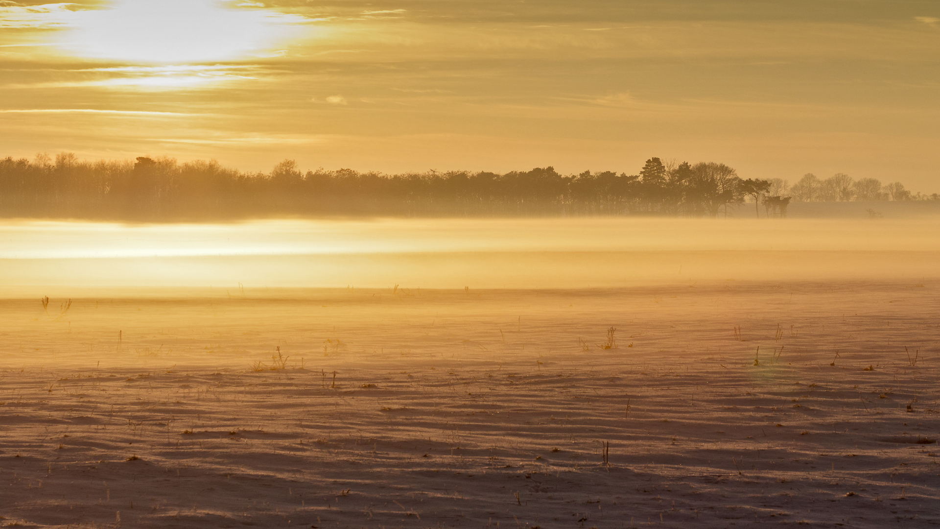 knackige Kälte und traumhafte Abendsonne