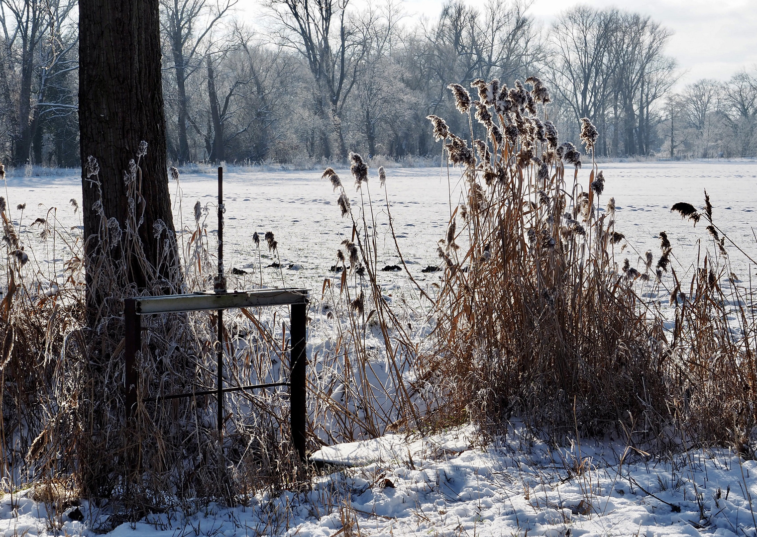 knackiger Frost in Brandenburg