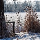 knackiger Frost in Brandenburg