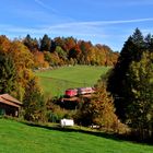 Knallfrosch im Herbst auf der Ammergaubahn