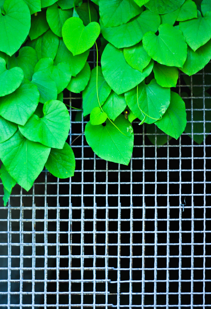 knalliges grün vorm parkhaus