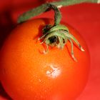 knallrote Tomate