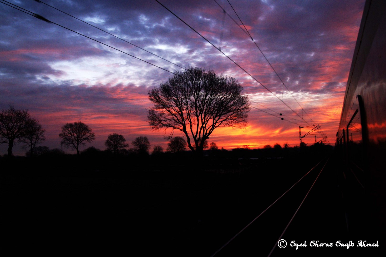 Knallroter Himmel am Morgen mit einem Baum im Gegenlicht