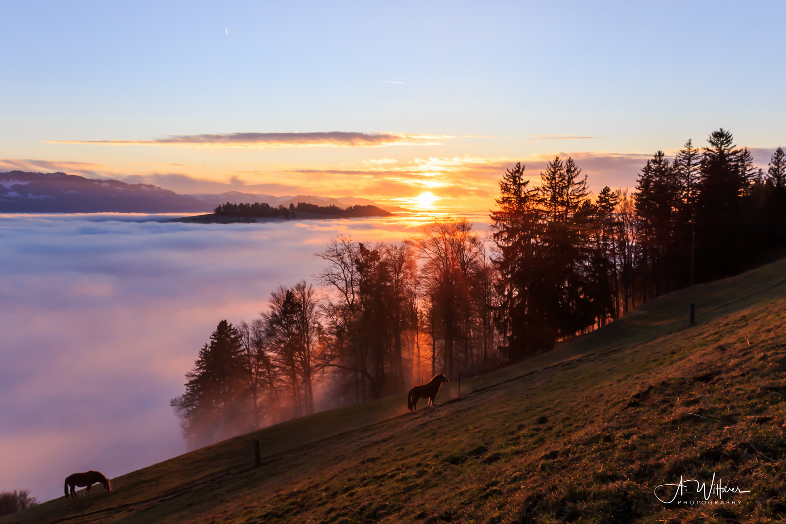 Knapp über dem Nebel, Schweiz